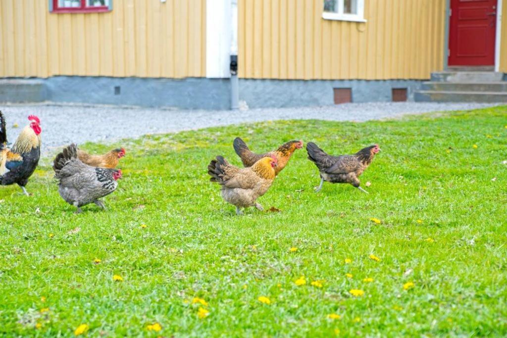 Vaestervik Rum Och Stugor Luaran gambar